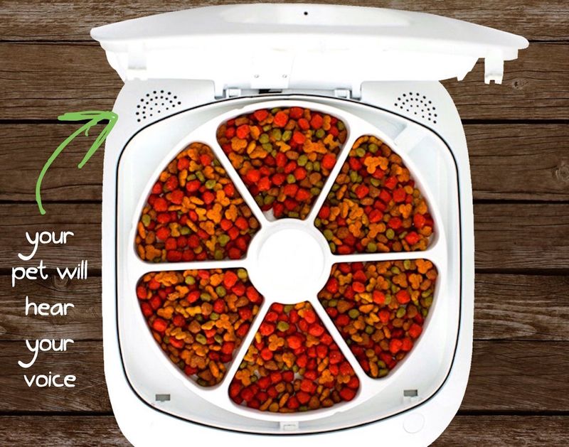 Feed and Go tray layout