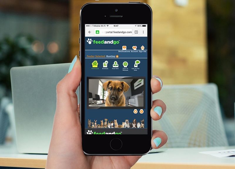 Feed and Go app in hand