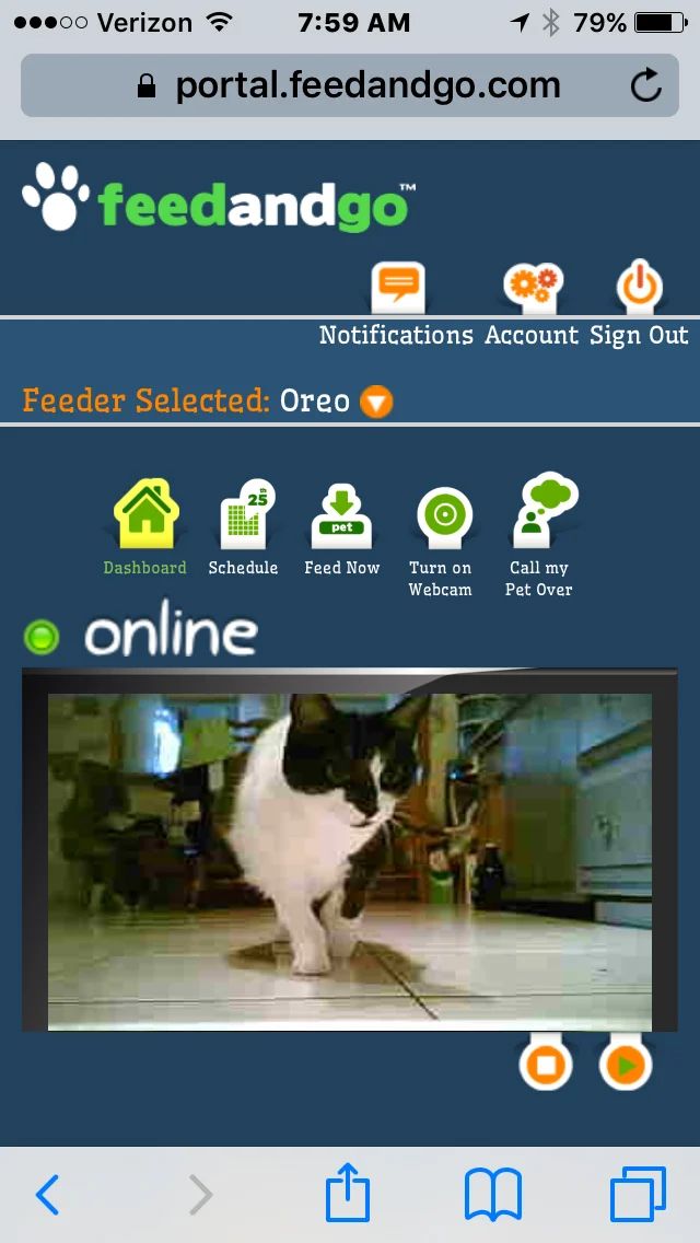 Feed and Go portal on mobile