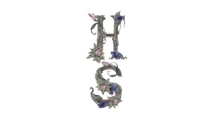 Holy Sage logo