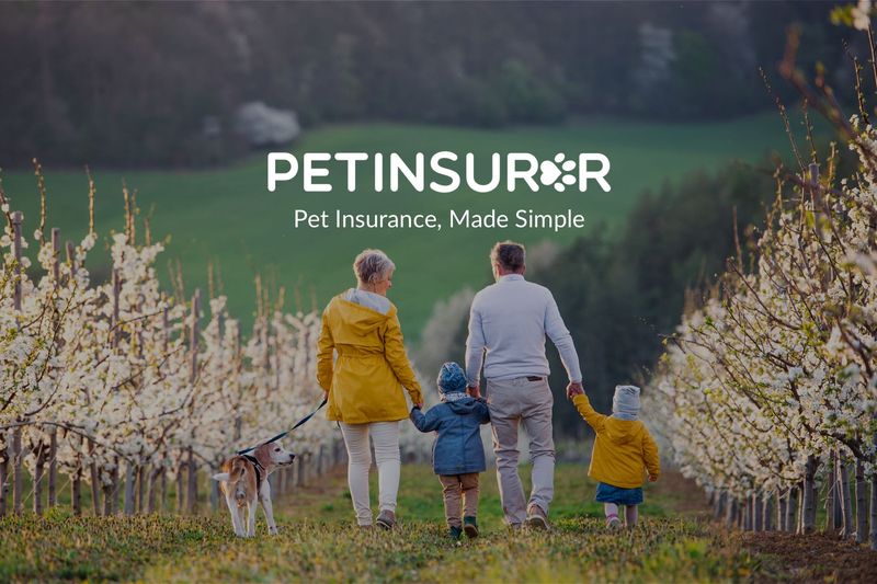 Pet Insurer family brand identity