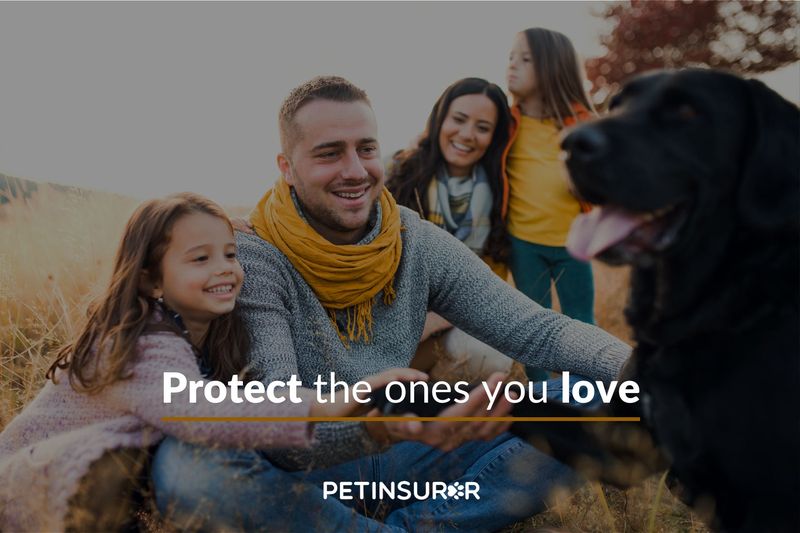 Pet Insurer - protect the ones you love