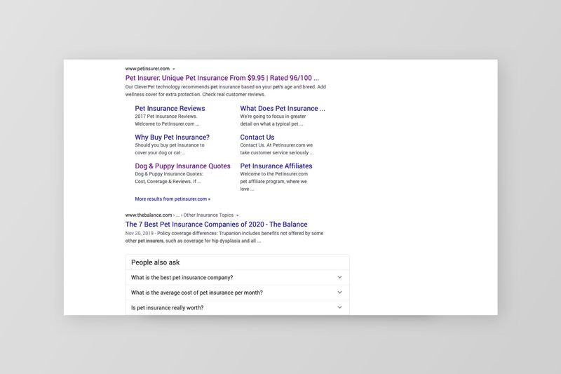 Pet Insurer SEO content