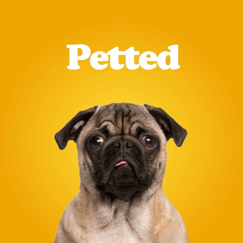 Petted case study cover image
