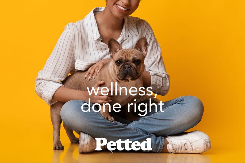 Pet wellness done right poster