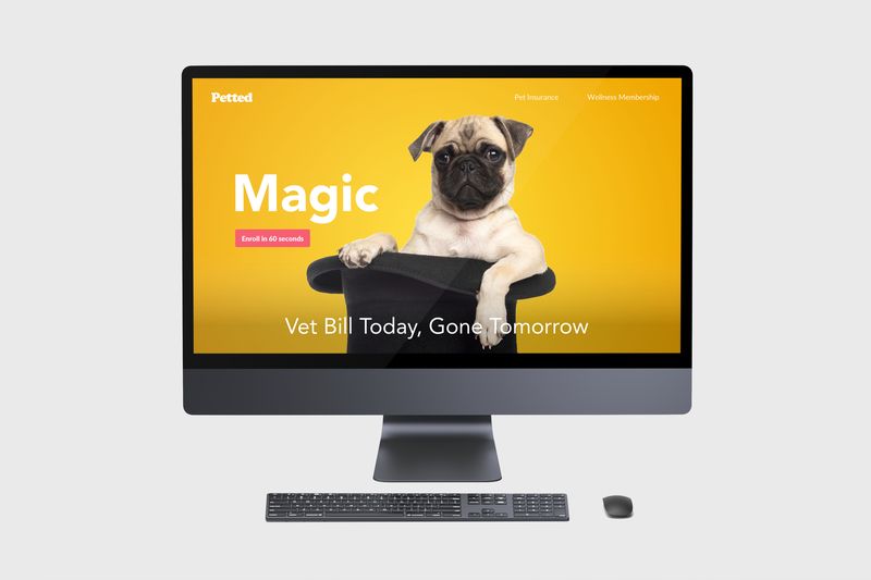 Petted website design branding by Yeti
