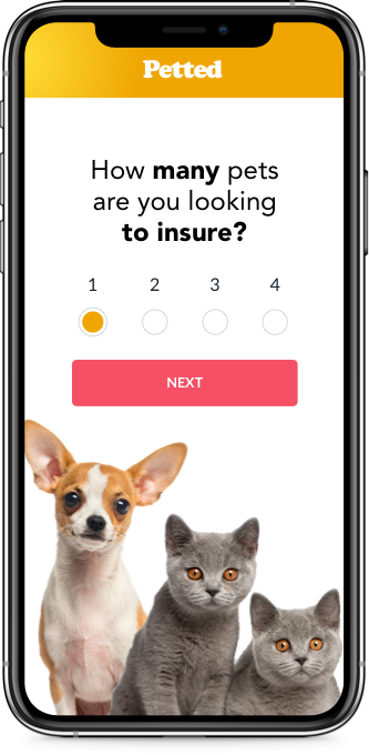 Petted comparison engine - question step