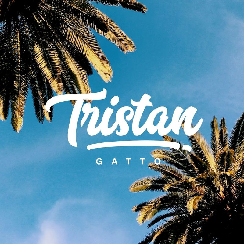 Tristan Gatto case study cover image