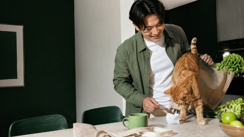 Cat owner unpacking the weekly shop as his ginger cat inspects a paper bag