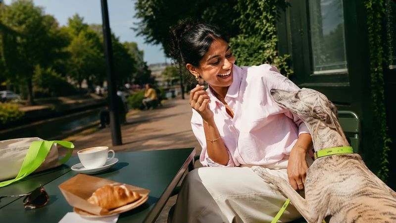 Dog owner sharing a coffee-shop pause with her whippet on a canal-side terrace