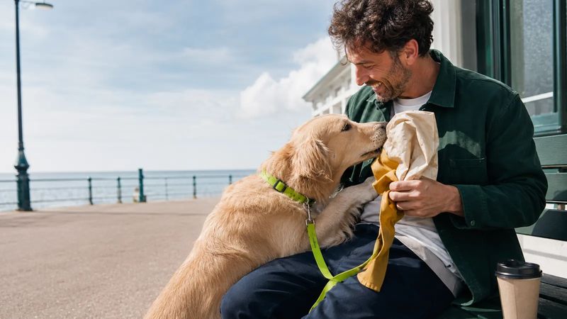 Dog owner sharing a quiet seafront moment with his golden retriever
