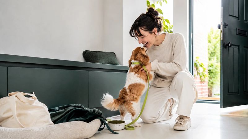 A pet owner greeting her Cavalier King Charles Spaniel in the doorway of a bright home