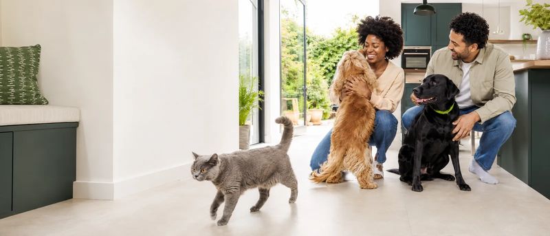 Pet owner relaxing at home with their dog