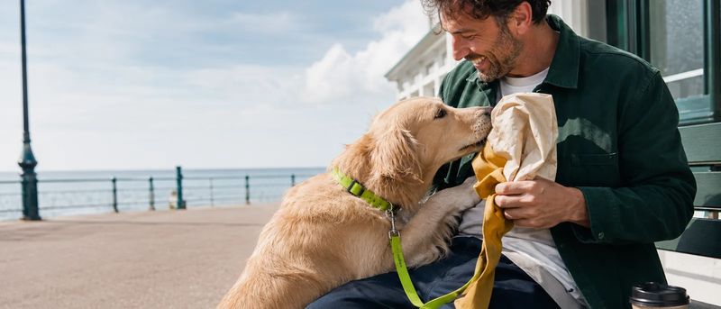 Owner and dog by the seaside
