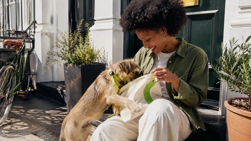 New puppy leaning up into her owner's lap on a sunny London doorstep