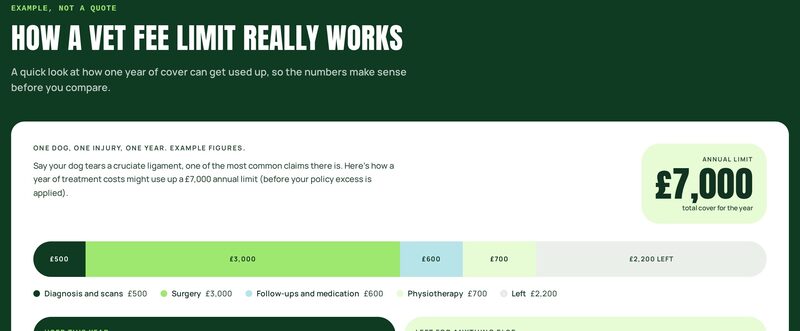 Yeti Compare vet-fee calculator showing how limits play out on real claims