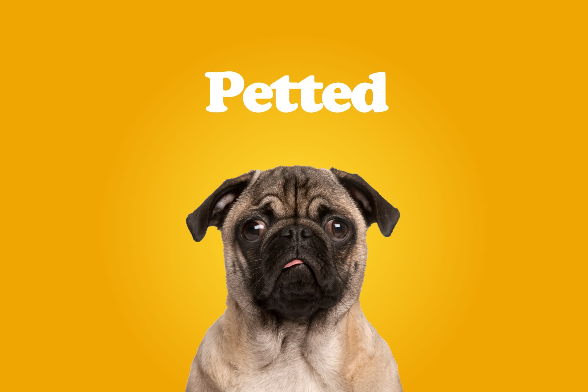 petted-portofolio-yeti-client