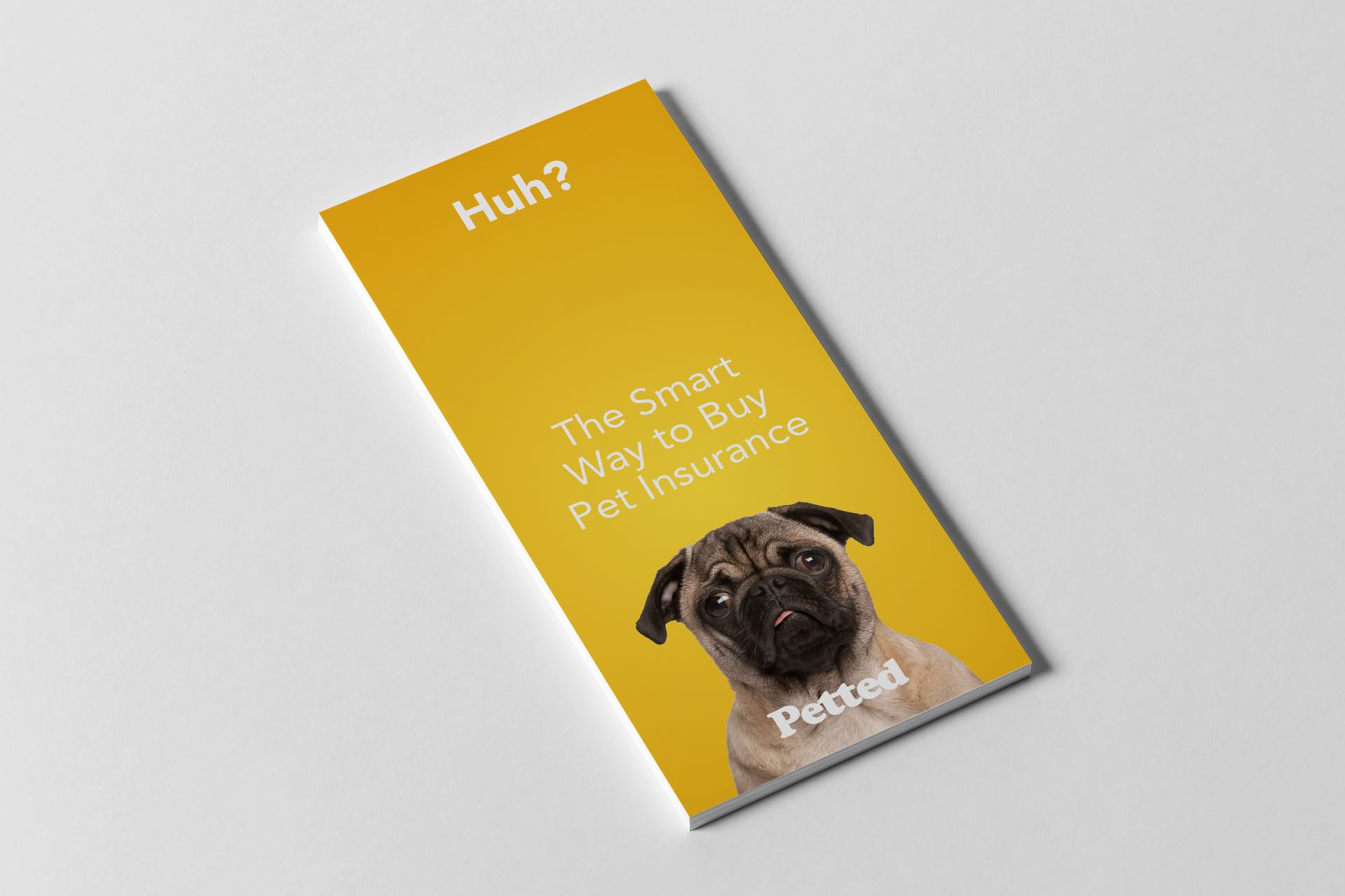 petted yeti client pet insurance leaflet